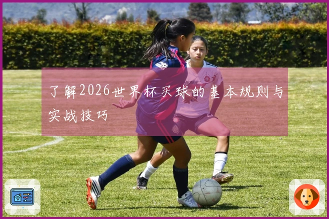 了解2026世界杯买球的基本规则与实战技巧