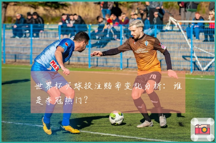 世界杯买球投注赔率变化分析：谁是夺冠热门？