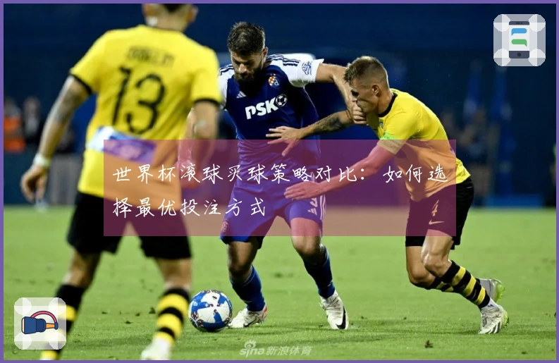 世界杯滚球买球策略对比：如何选择最优投注方式