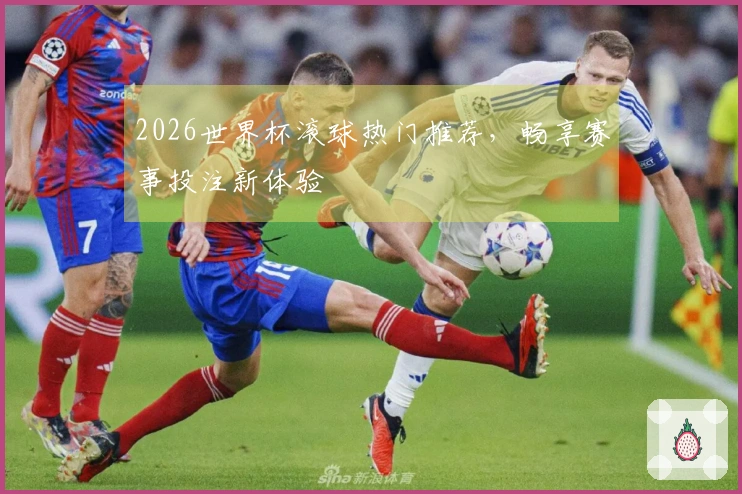 2026世界杯滚球热门推荐，畅享赛事投注新体验