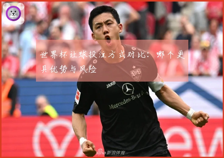 世界杯让球投注方式对比：哪个更具优势与风险