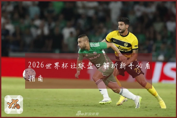 2026世界杯让球盘口解析新手必看指南