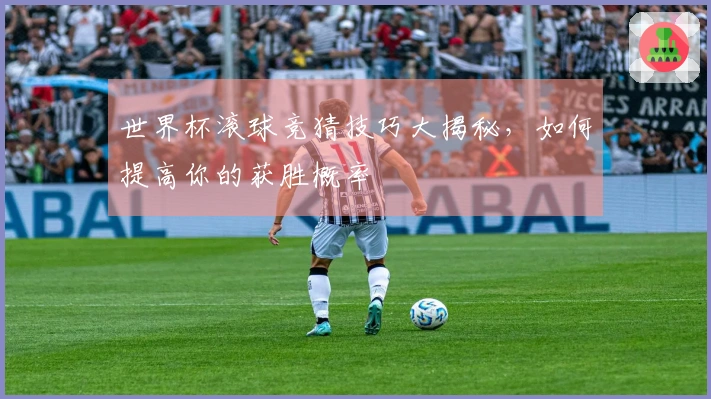 世界杯滚球竞猜技巧大揭秘，如何提高你的获胜概率