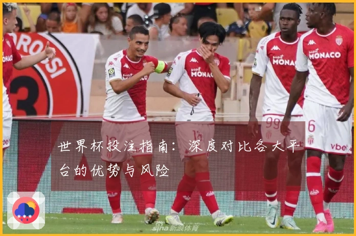 世界杯投注指南：深度对比各大平台的优势与风险