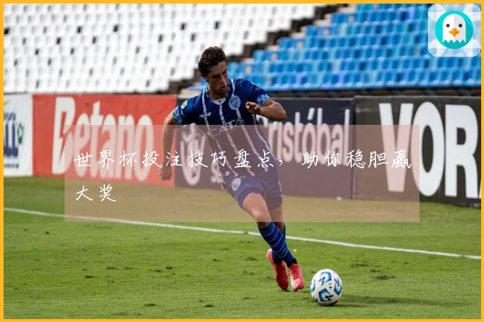 世界杯投注技巧盘点，助你稳胆赢大奖