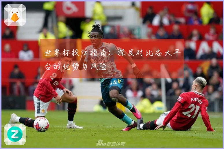 世界杯投注指南：深度对比各大平台的优势与风险