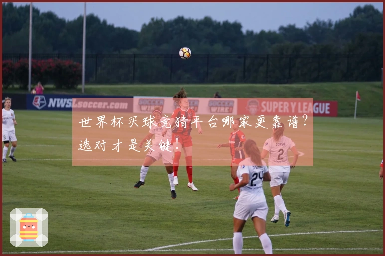 世界杯买球竞猜平台哪家更靠谱？选对才是关键！