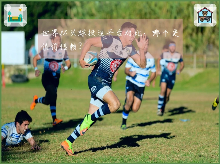 世界杯买球投注平台对比，哪个更值得信赖？